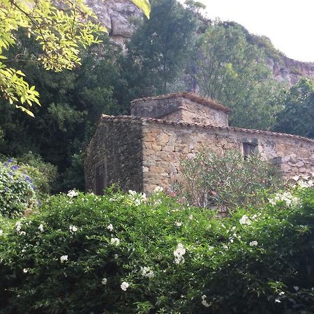 Maison Ancienne Minervois La Caunette Εξωτερικό φωτογραφία