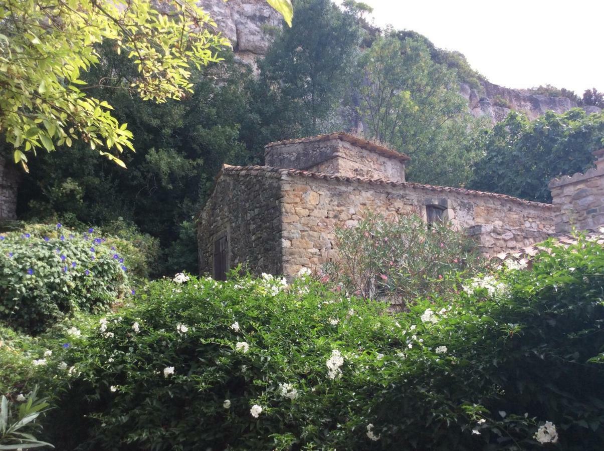 Maison Ancienne Minervois La Caunette Εξωτερικό φωτογραφία