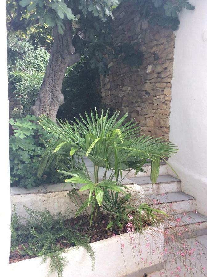 Maison Ancienne Minervois La Caunette Εξωτερικό φωτογραφία