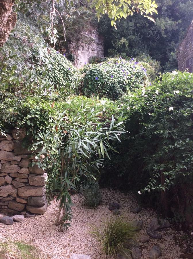 Maison Ancienne Minervois La Caunette Εξωτερικό φωτογραφία