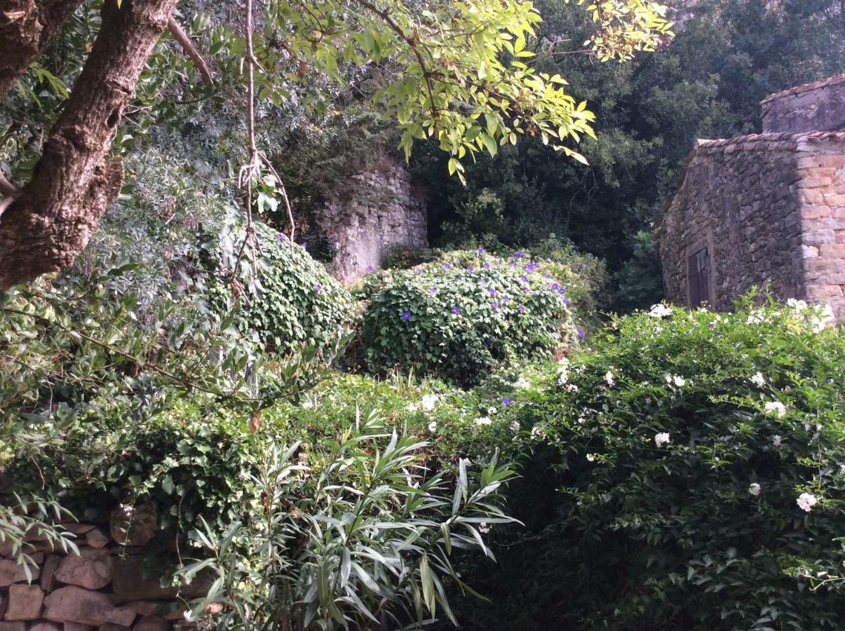 Maison Ancienne Minervois La Caunette Εξωτερικό φωτογραφία