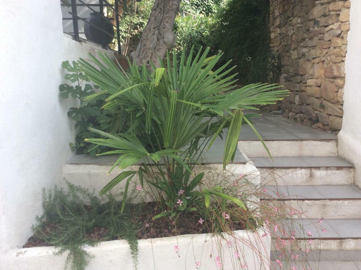 Maison Ancienne Minervois La Caunette Εξωτερικό φωτογραφία