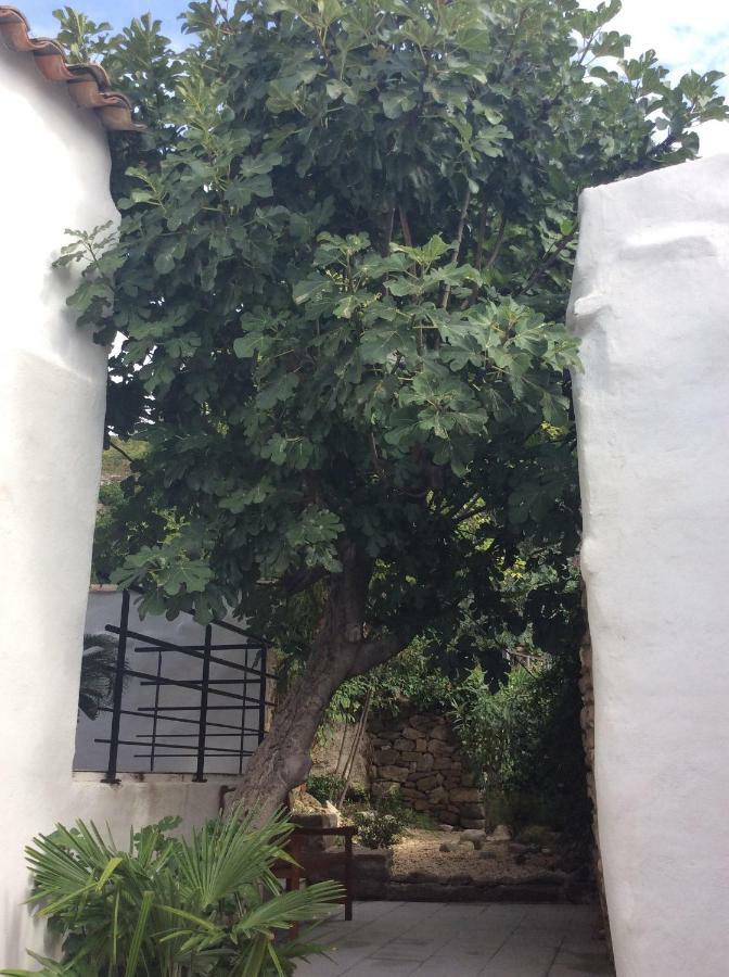 Maison Ancienne Minervois La Caunette Εξωτερικό φωτογραφία